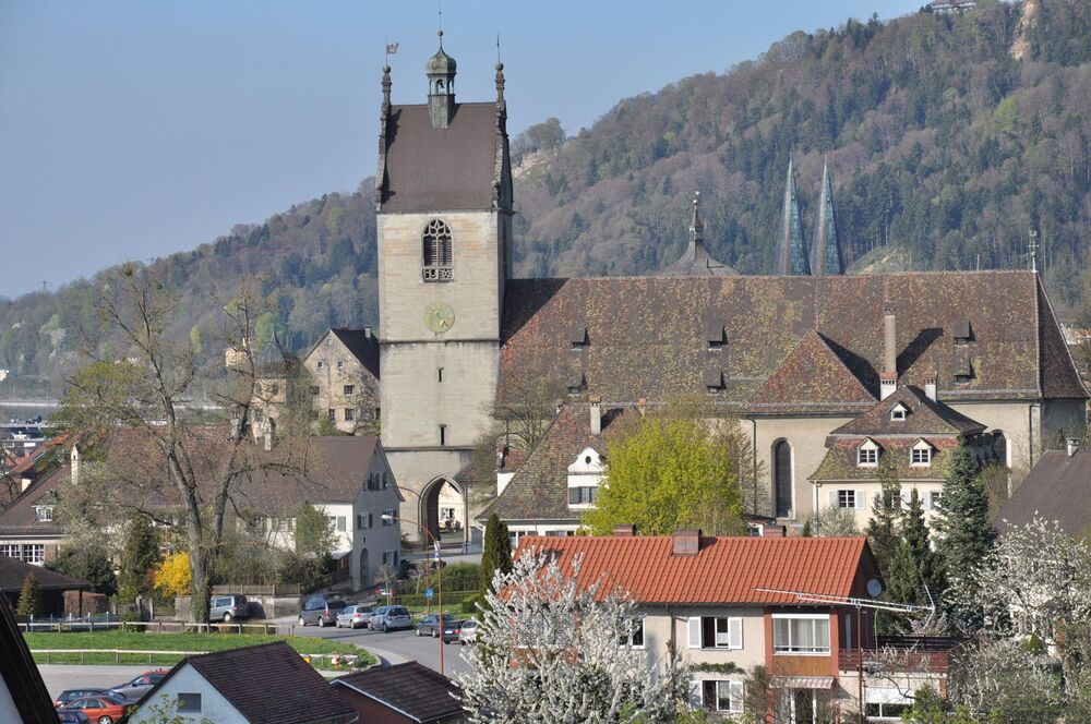 1. Tagung der Pfarrkirchenr?te8. April 2011Marianum Bregenz