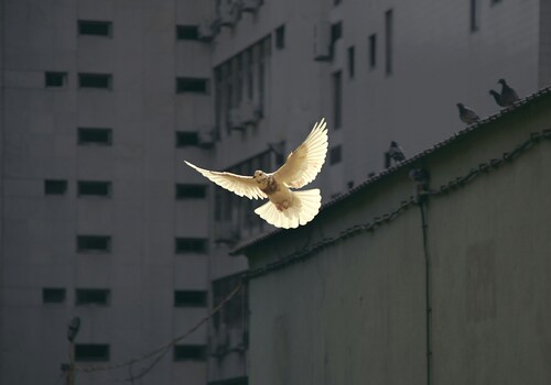 Sunguk Kim / unsplash