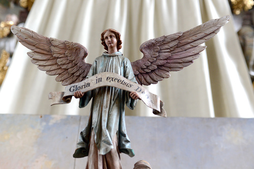 Daniel Ongaretto- Furxer, DANIEL ONGARETTO- FURXER